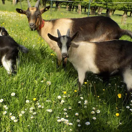 L'ostrale Отель типа 